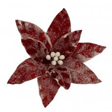 Χριστουγεννιάτικο Λουλούδι Αλεξανδρινό Κόκκινο με Χιόνι